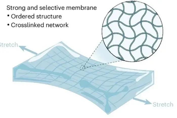 Fuel Cell Technology Strengthened by Ultra-Thin Ion-Exchange Membranes: A New Frontier in eVTOL Investment