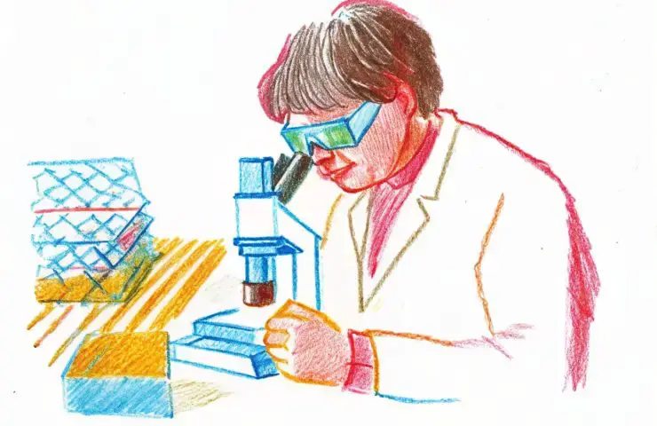 Green Hydrogen Boosted by Quasi-2D Tellurium Nanosheets: A New Frontier for eVTOL Investment and Advanced Air Mobility